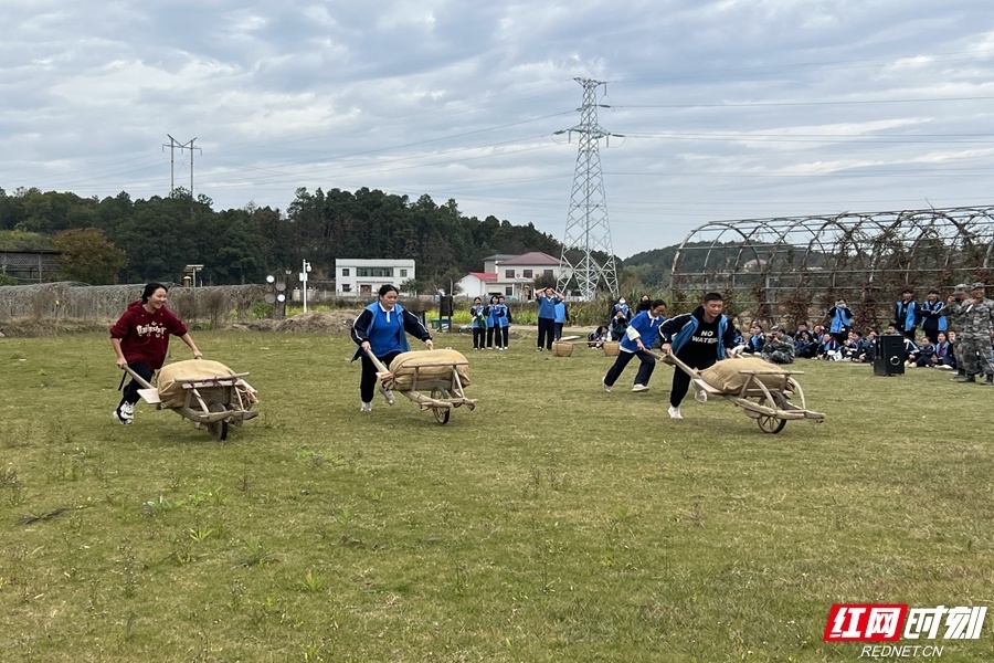 校园文学丨高紫涵一群鸟儿飞过村庄