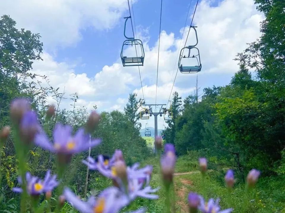 刺激!净月潭网红索滑道全面升级