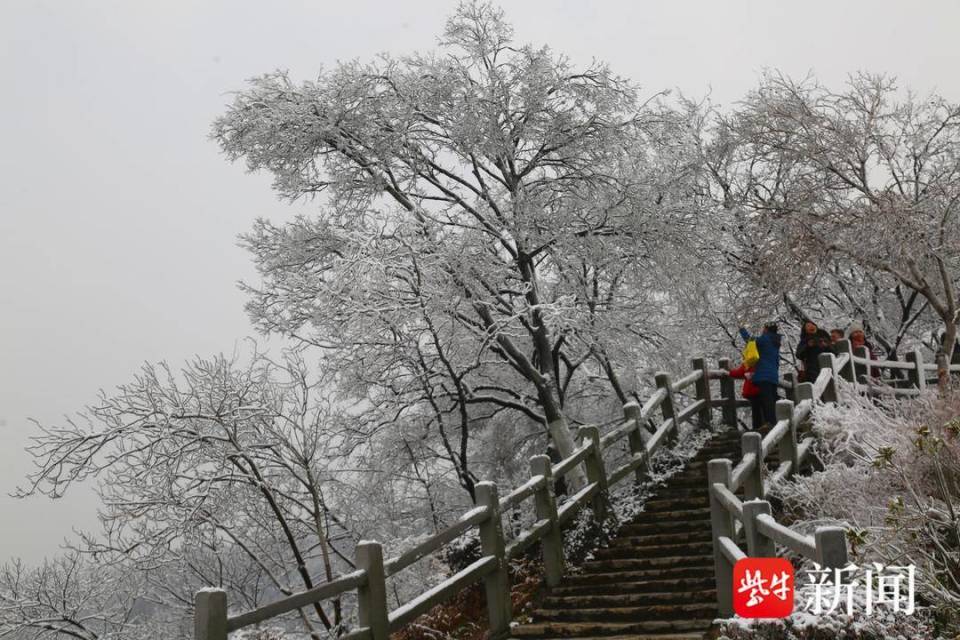 视频太美了南京幕府山上惊现雾凇奇观