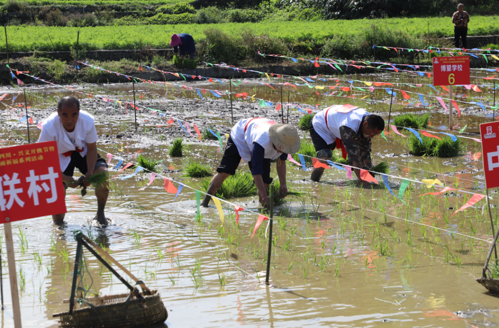 今天,僰王山这里热闹又好耍!