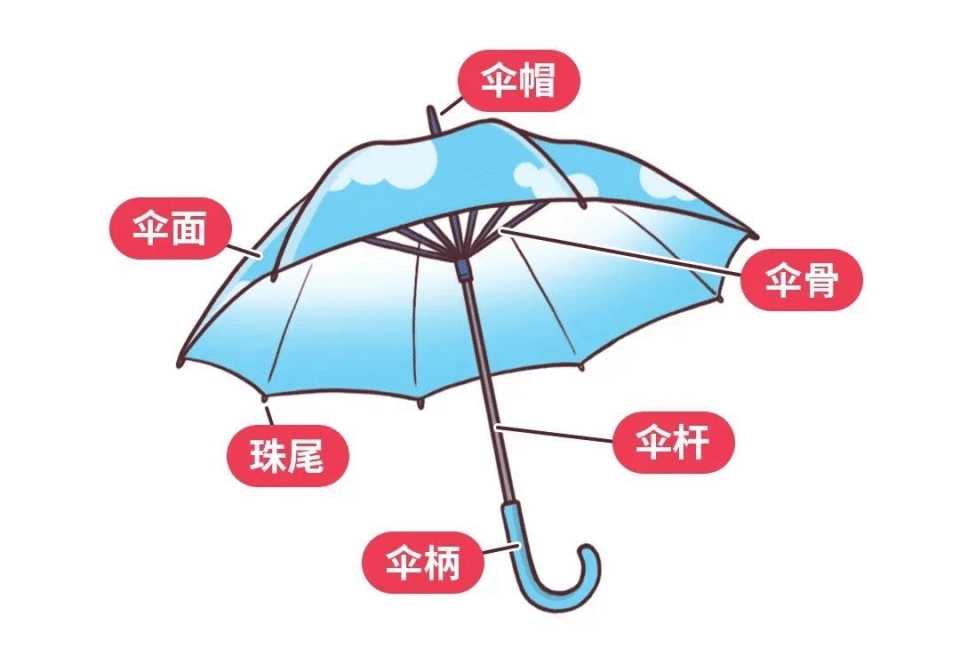 给娃买伞别只看颜值！这项强制性国家标准，才是安全“保护伞”_腾讯新闻