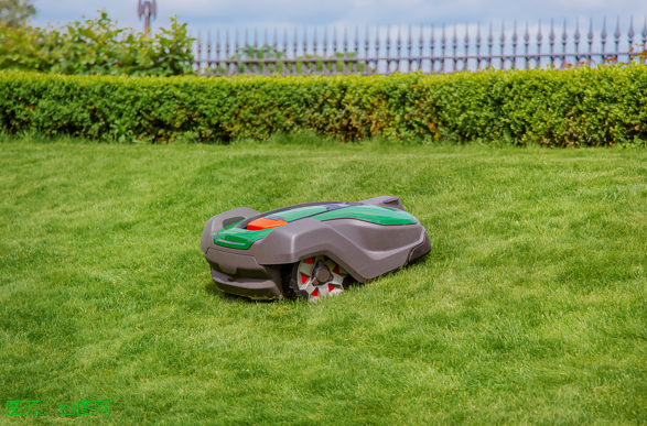 Analysis of LeDong Robotics' Gross Margin Decline