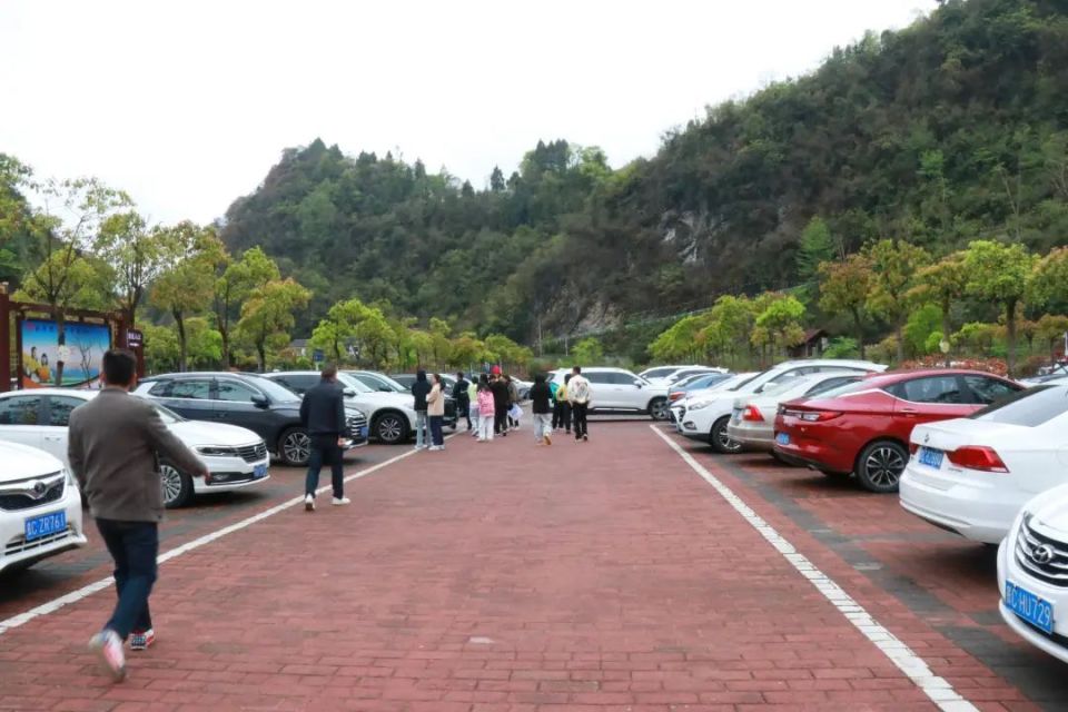 绥阳县红果树景区停车场内,密密麻麻停满了来自各地的自驾游车辆,景区