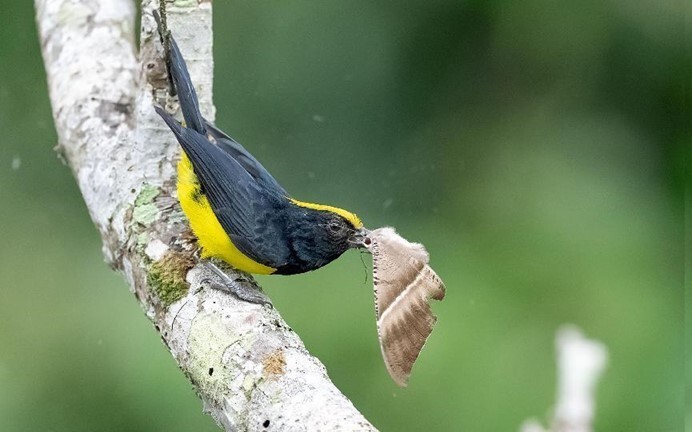 看展览|生态摄影大赛在沪揭晓_腾讯新闻