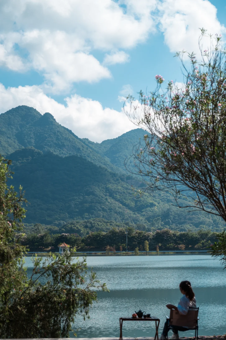 "阿勒泰增城分泰"好治愈!