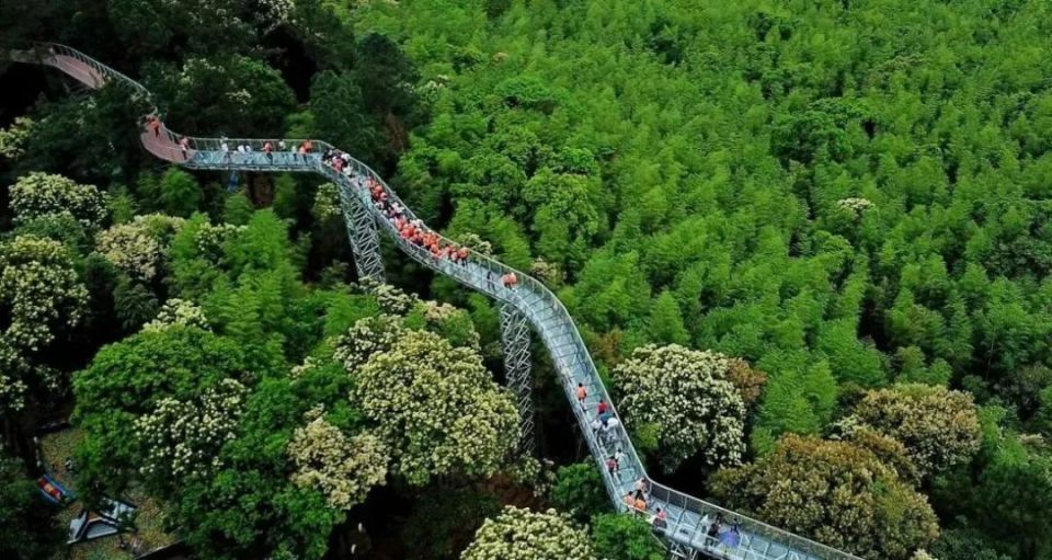 早安赣州丨免门票!赣州多景区宣布_腾讯新闻