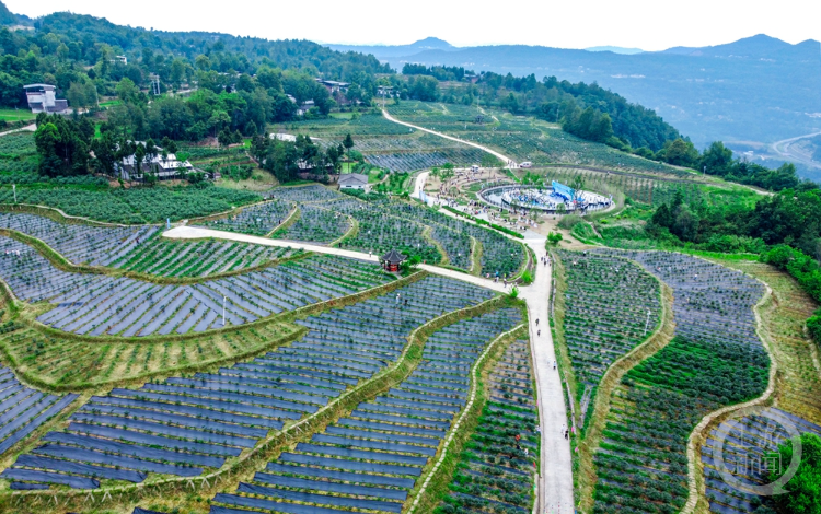 程聪 摄于四川通江初夏时节,位于大巴山腹地的四川省巴中市通江县的