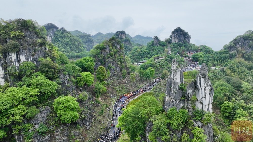 c视频|万人共舞踩花山,宜宾兴文花山节将持续至6月