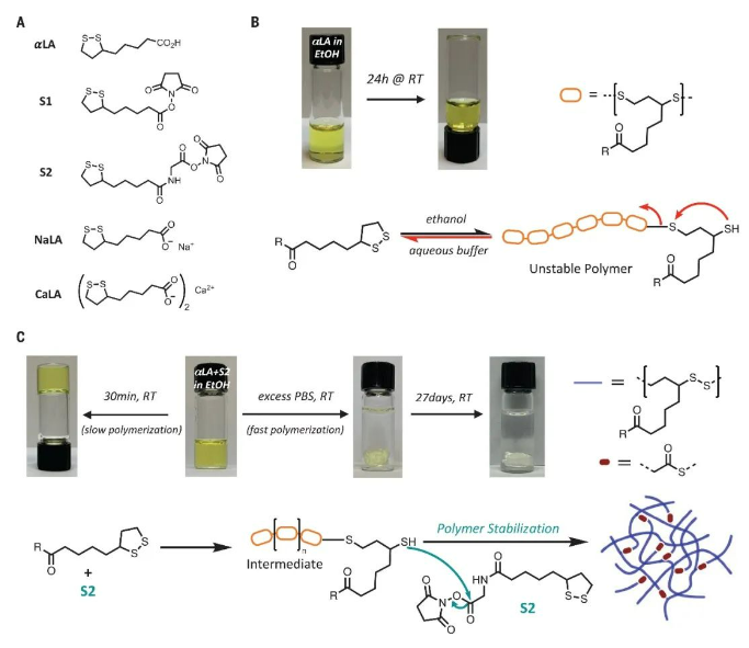 医用粘合剂叫什么名字医用高分子粘合剂登上《Science》_https://www.jmylbn.com_新闻资讯_第1张
