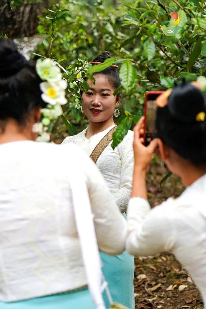无数且不能辜负了这春日品茶,观山就来景迈山文字丨臧灵图片丨胡雪英