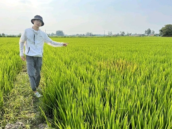 邵爱涛在田地里工作.