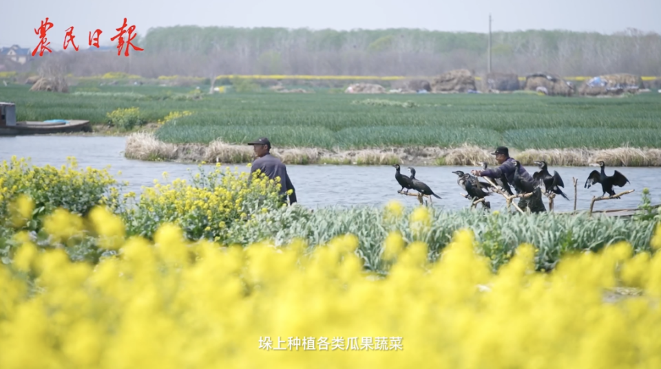 系统河北涉县旱作石堰梯田系统山东夏津黄河故道古桑树群系统中国南方