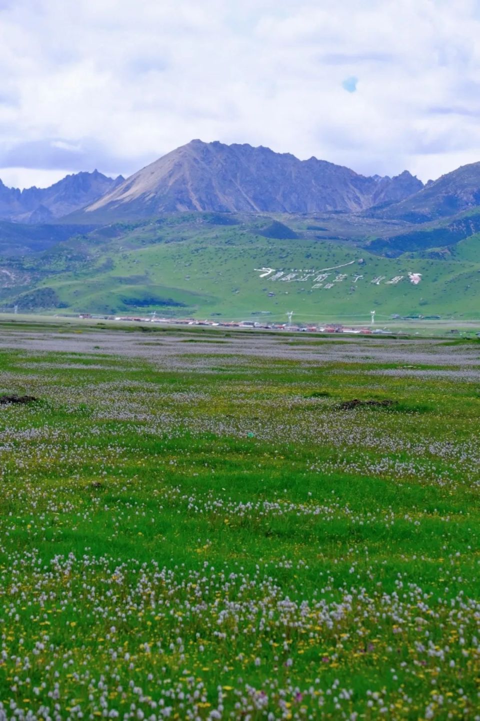 不如来甘孜"巴太"的家乡,邂逅开满鲜花的空中草原!