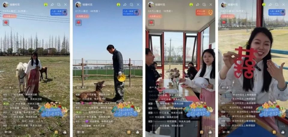 乡村CEO故事｜从“都市丽人”到“钱塘村花”，杨吉带火春光村！_腾讯新闻