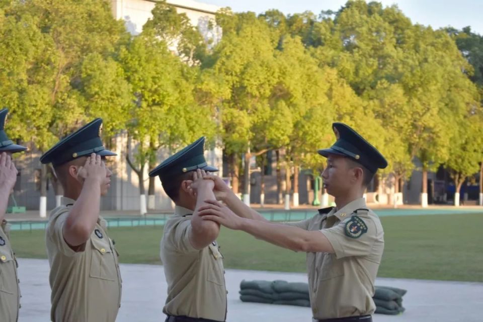 改革炉火淬炼"长剑锋脊"——来自火箭军某旅高级军士群体的观察报告