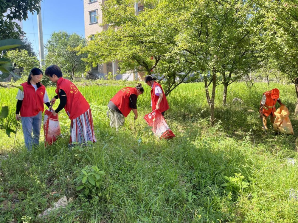 加深了对环境保护重要性的理解,更增强了他们的环保意识和社会责任感