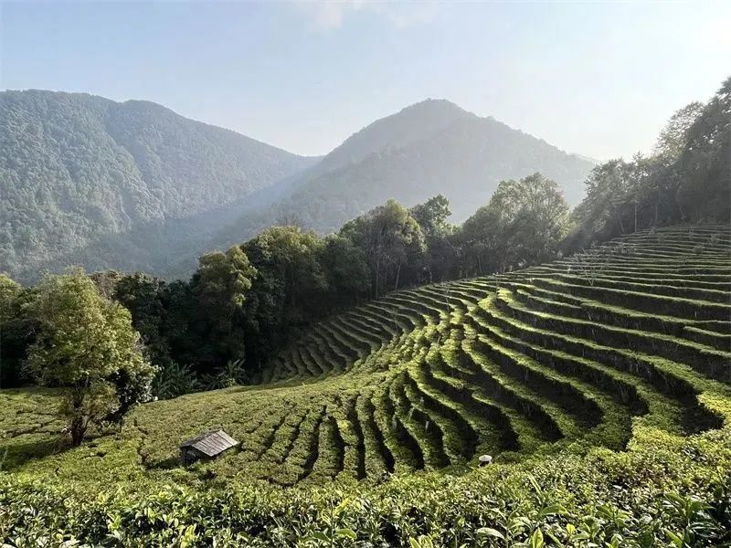 【周末游普洱攻略】这个夏天来普洱,"city不city啊"?