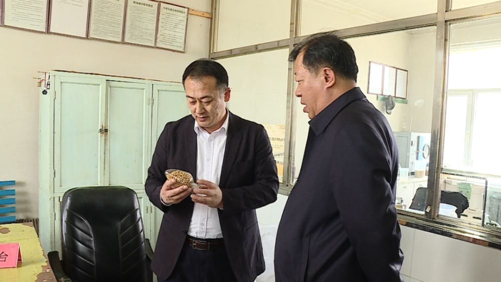 孙吴县委主要领导调研检查重点产业项目情况