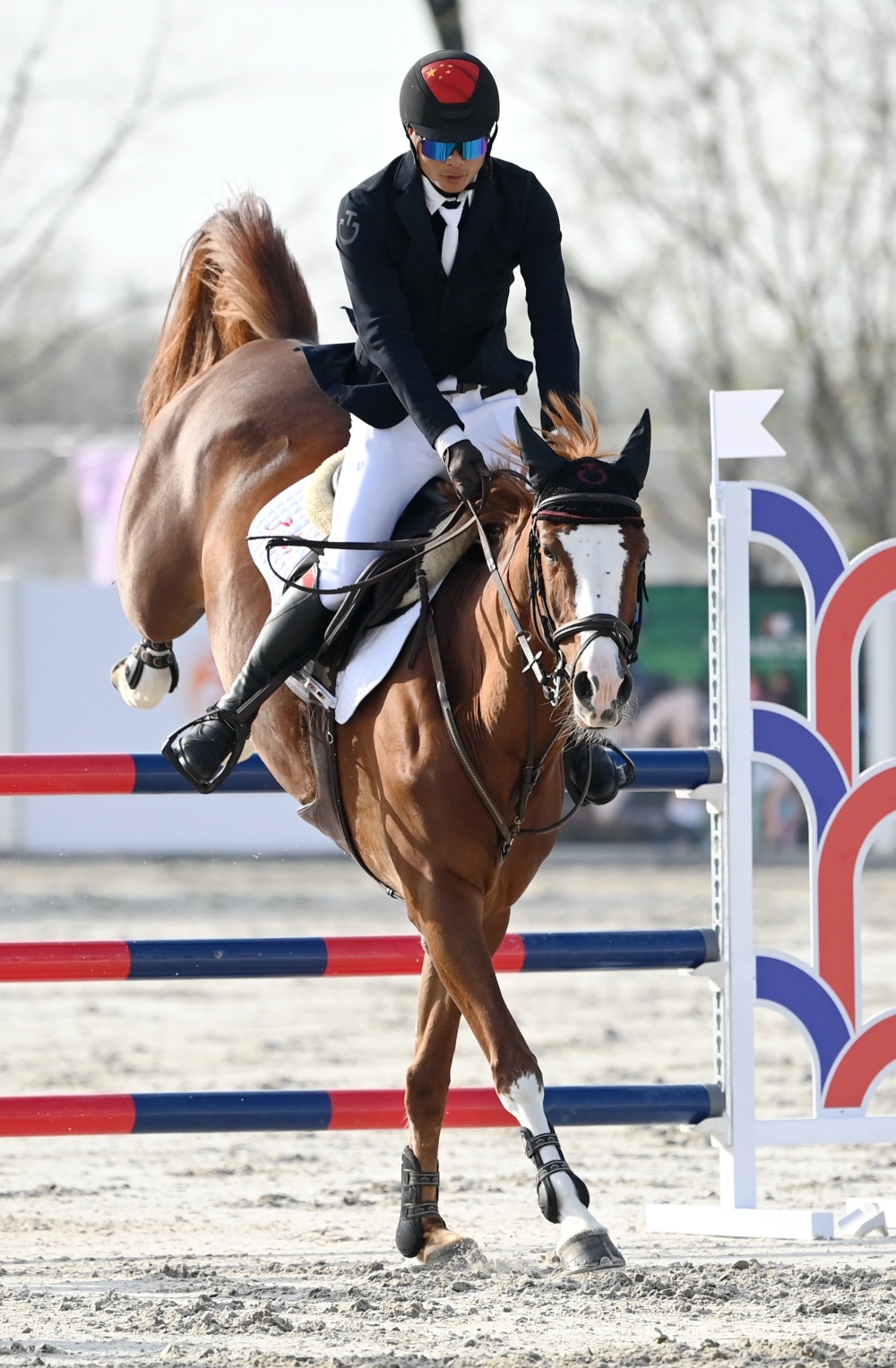 体育马术2022年全国马术三项赛锦标赛赛况