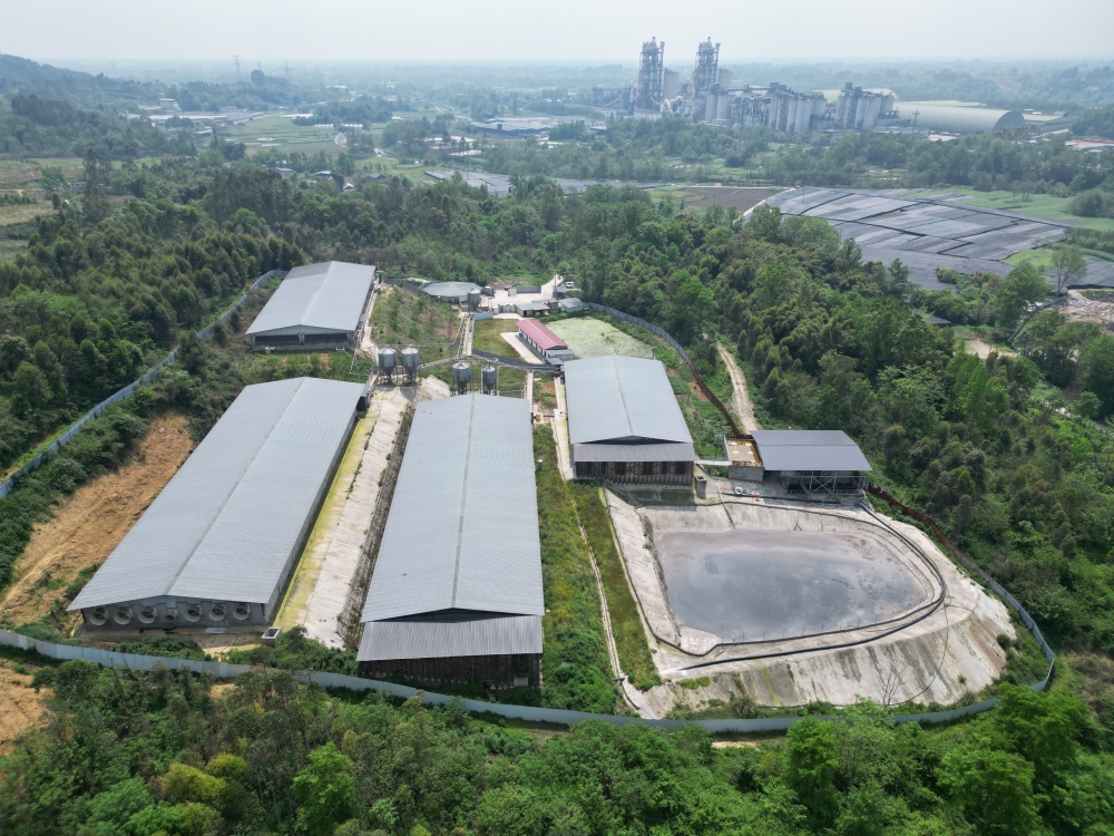 彭州养猪场化粪池气体中毒事故疑为一人中毒六人施救全遇难