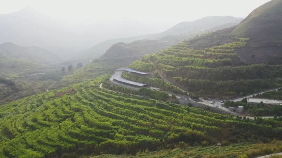 5万亩,花椒1.6万亩,蜂糖李1.5万亩,石漠化程度降至10%以下.