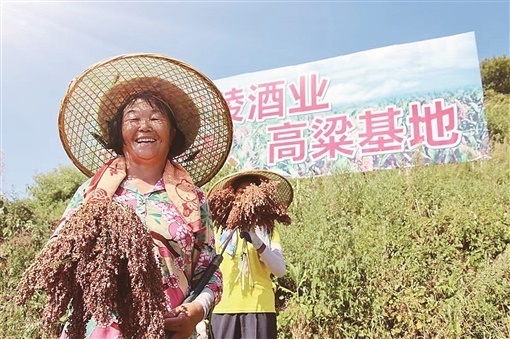 董事长沈德志亲自带队,对北纬28°纬线沿线泸州