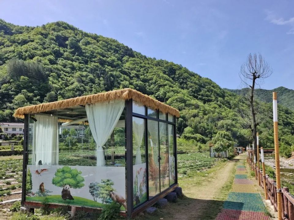 这就是,佛坪!