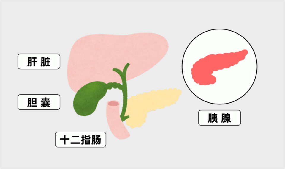 饭后突然肚子疼，警惕是急性胰腺炎_腾讯新闻