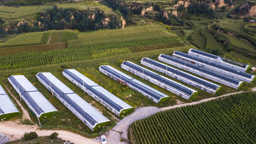 光伏发电站,养羊场,养牛场,养猪场,小杂粮加工厂,酒厂和民俗一条街等