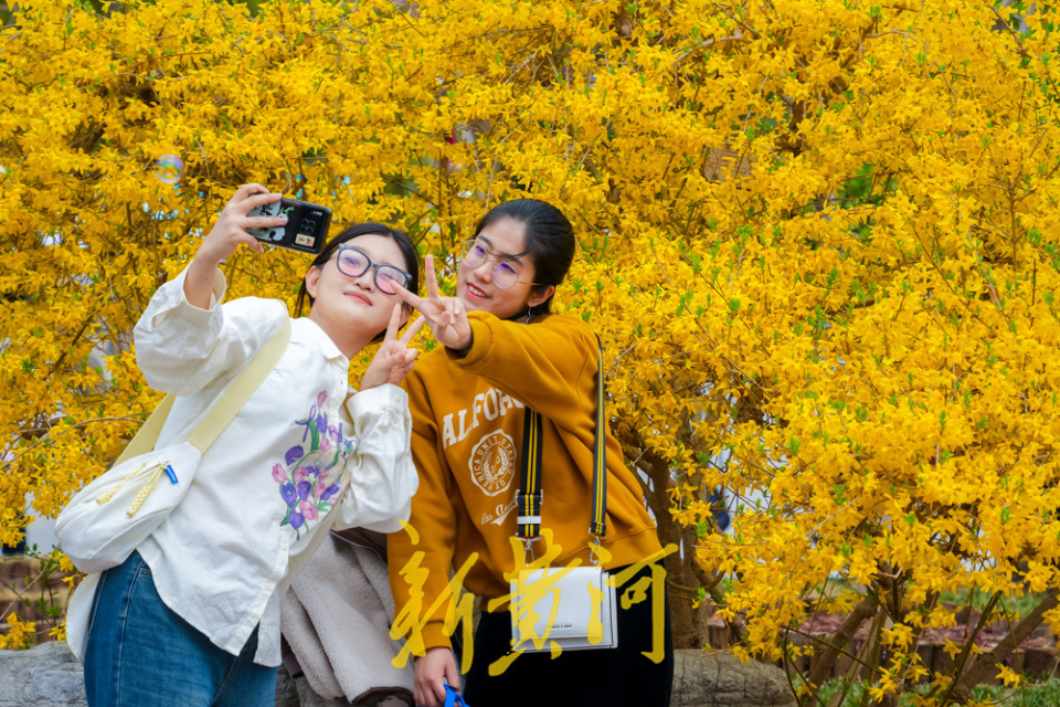 与春天相约!泉城迎来赏花踏青游热潮 | 镜相