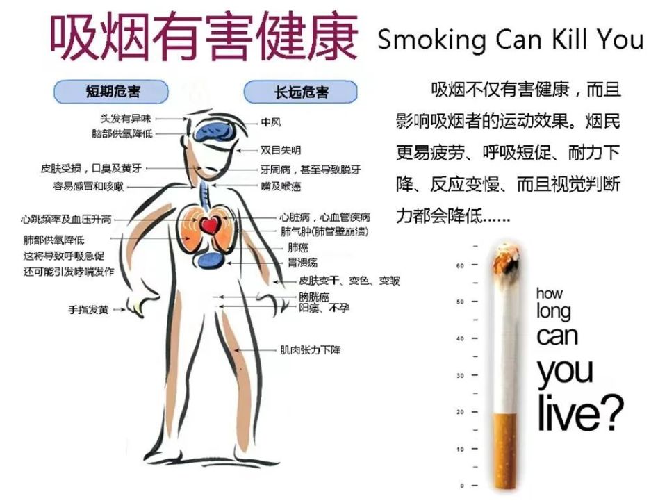 世界无烟日 | 禁烟控烟，从你我做起！_腾讯新闻