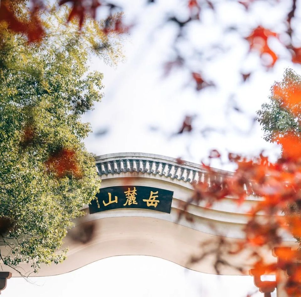 在爱晚亭尽览红枫碧水;在岳麓书院怀古思今