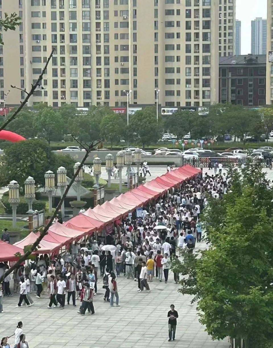 在今天的咨询会上,淮南第二中学党委书记,校长解玉嘉表示,如何从庞杂