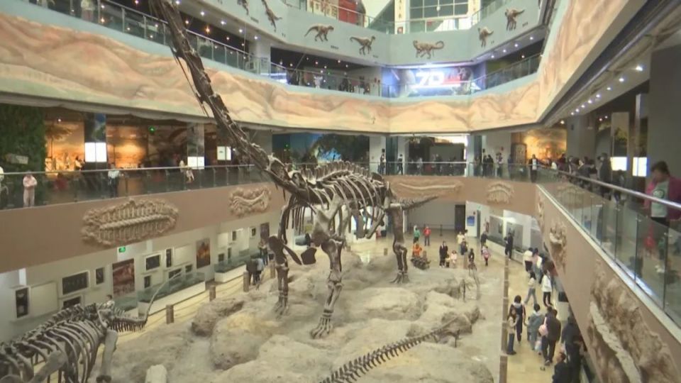 作为新疆首家古生物博物馆,昌吉恐龙馆光是外观就很吸引人,它的建筑