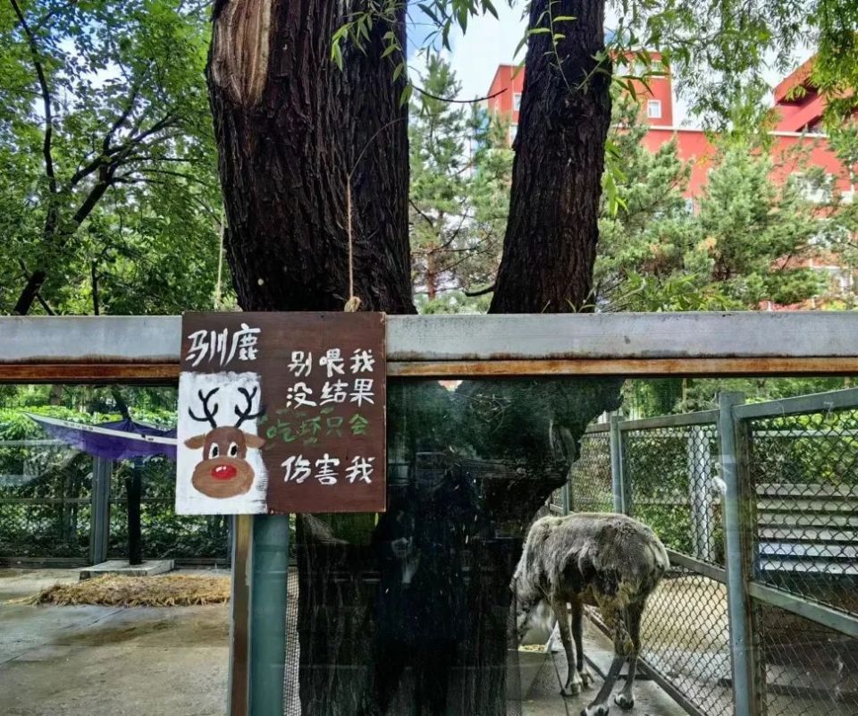 长春市动植物公园有新变化