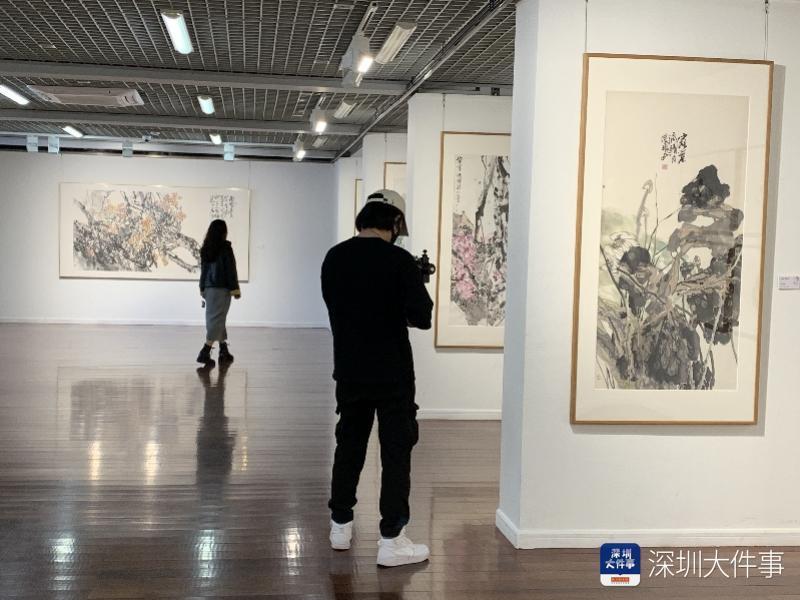 展现笔趣墨趣意趣情趣，“张振武花鸟画作品展”在深圳开展_腾讯新闻