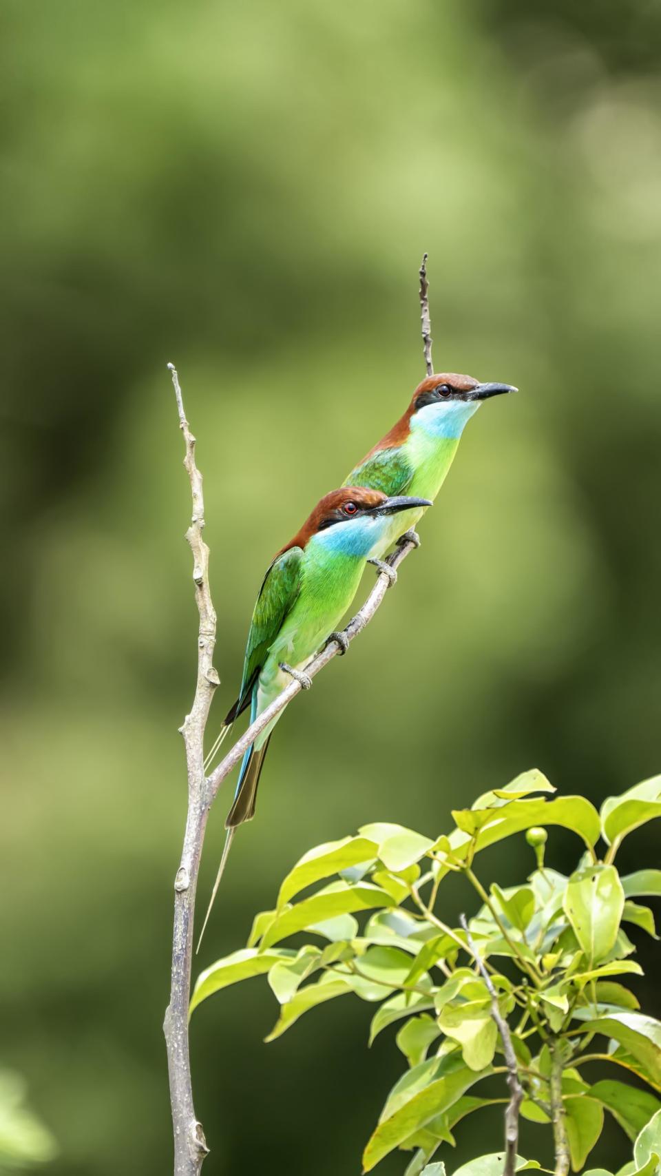 960_1707竖版 竖屏