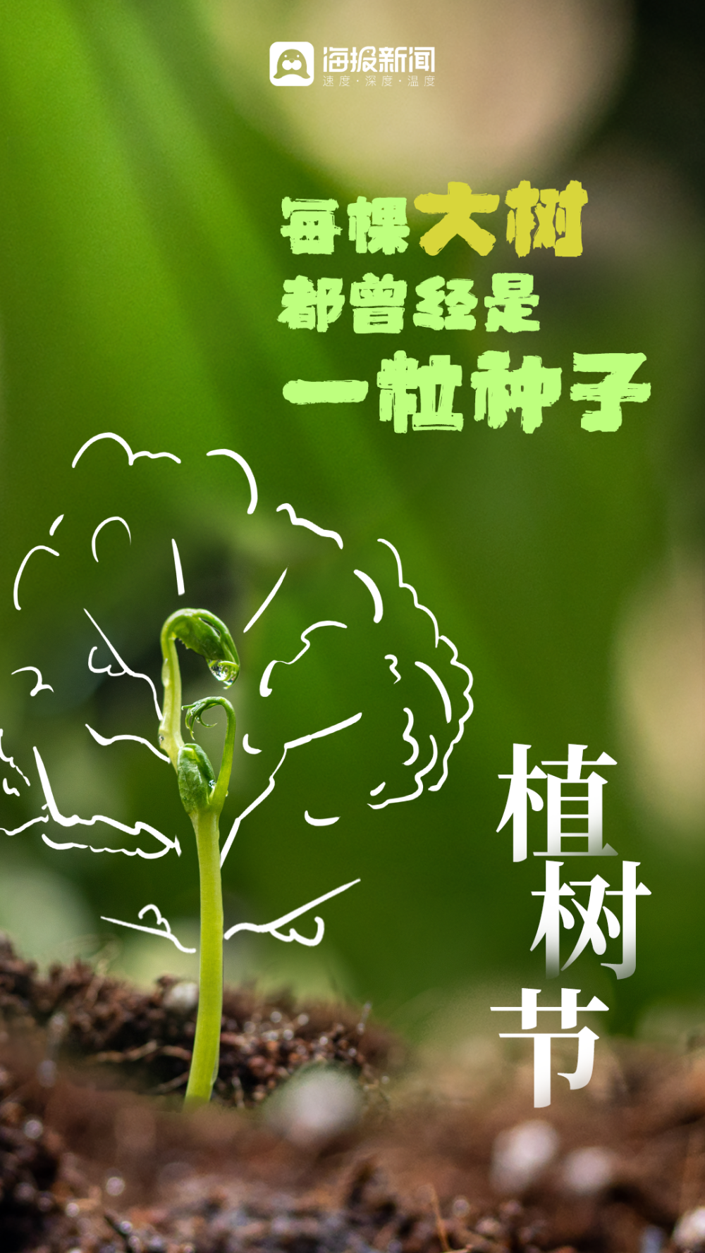 植树海报以绿色的理由图片