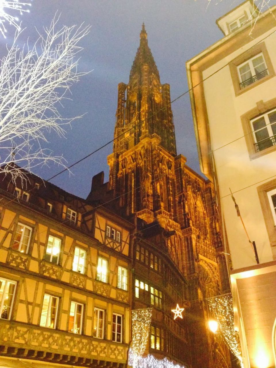 斯特拉斯堡(strasbourg/stra08burg)曾是世界最高建筑的圣母院 和