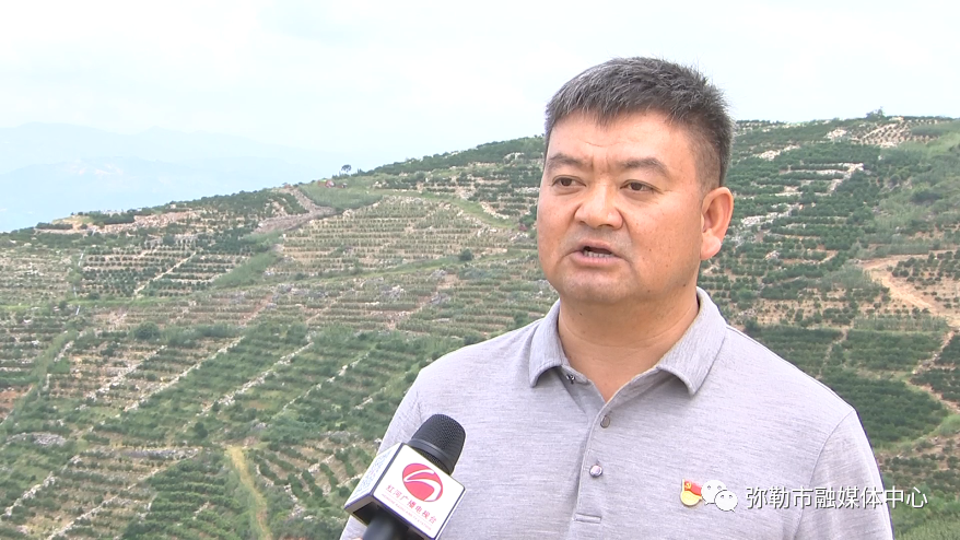 【弥勒市林业和草原局局长孔令光】:2017年至2022年期间,弥勒市通过