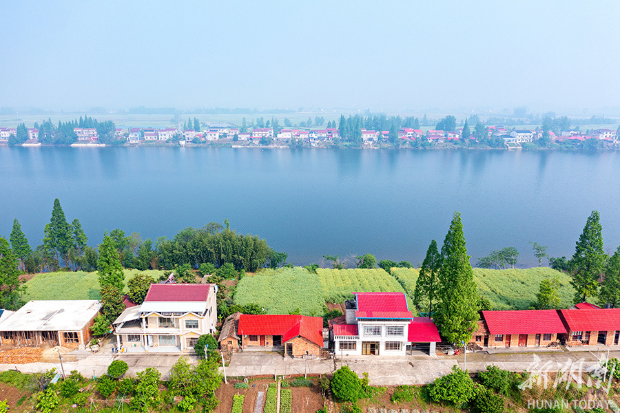 十美堂油菜花观光基地图片