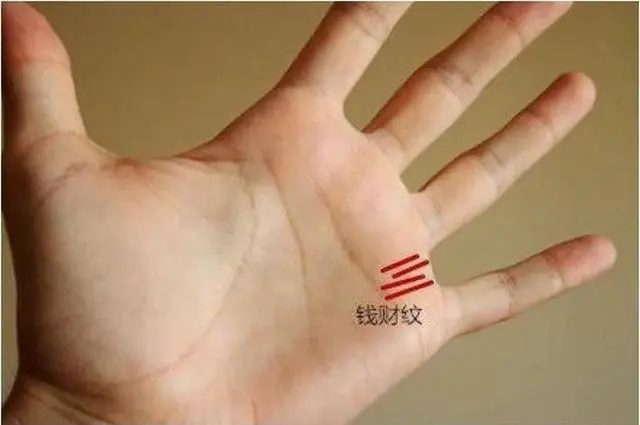 在无名指的下方以及感情线的上方有一种纹路叫做豪宅纹,这种纹路说明