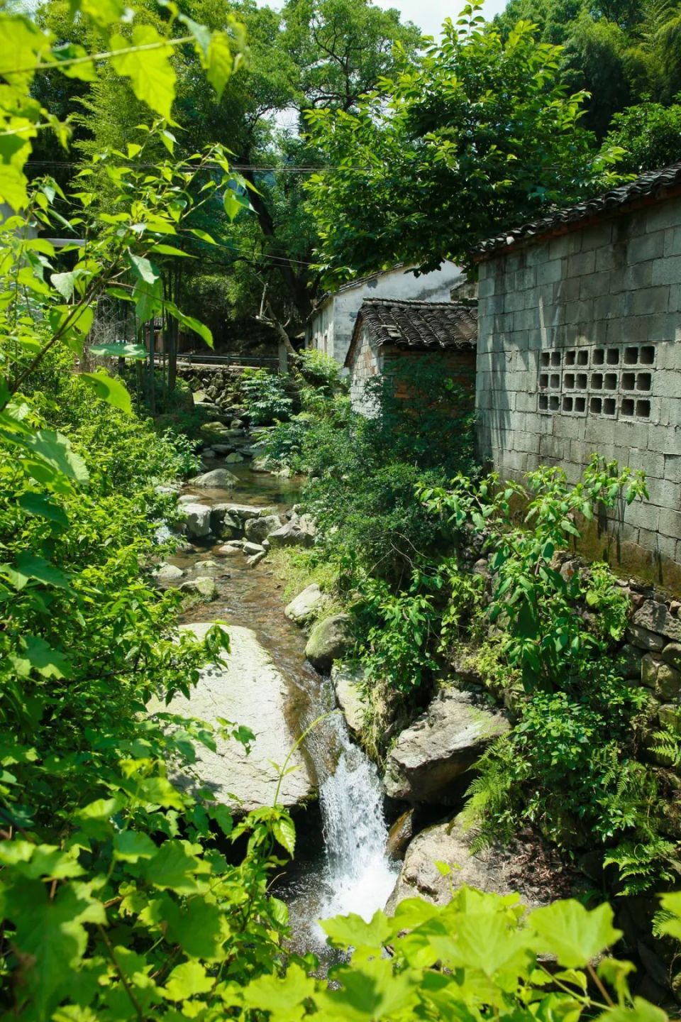 小美林村景点图片