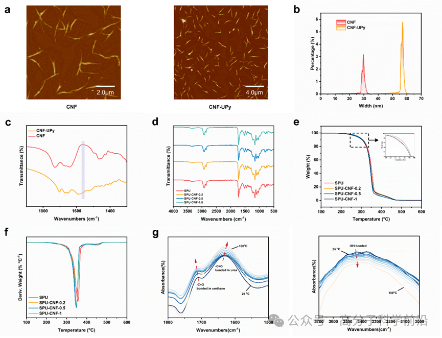 北理工邹美帅教授团队《AFM》：仿生纳米纤维素复合超分子弹性体，实现卓越的抗冲击性能_腾讯新闻