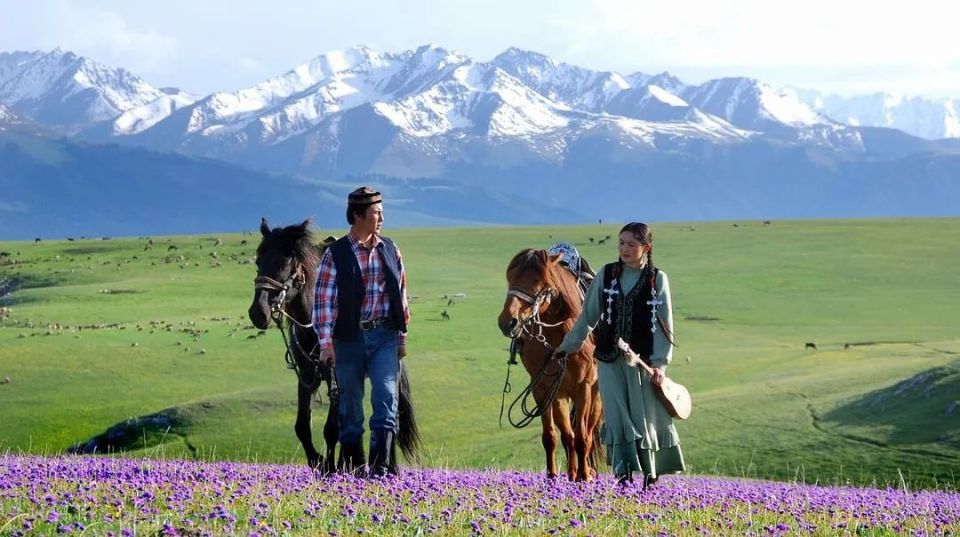 阿尔泰深山牧场,曾有我们的家