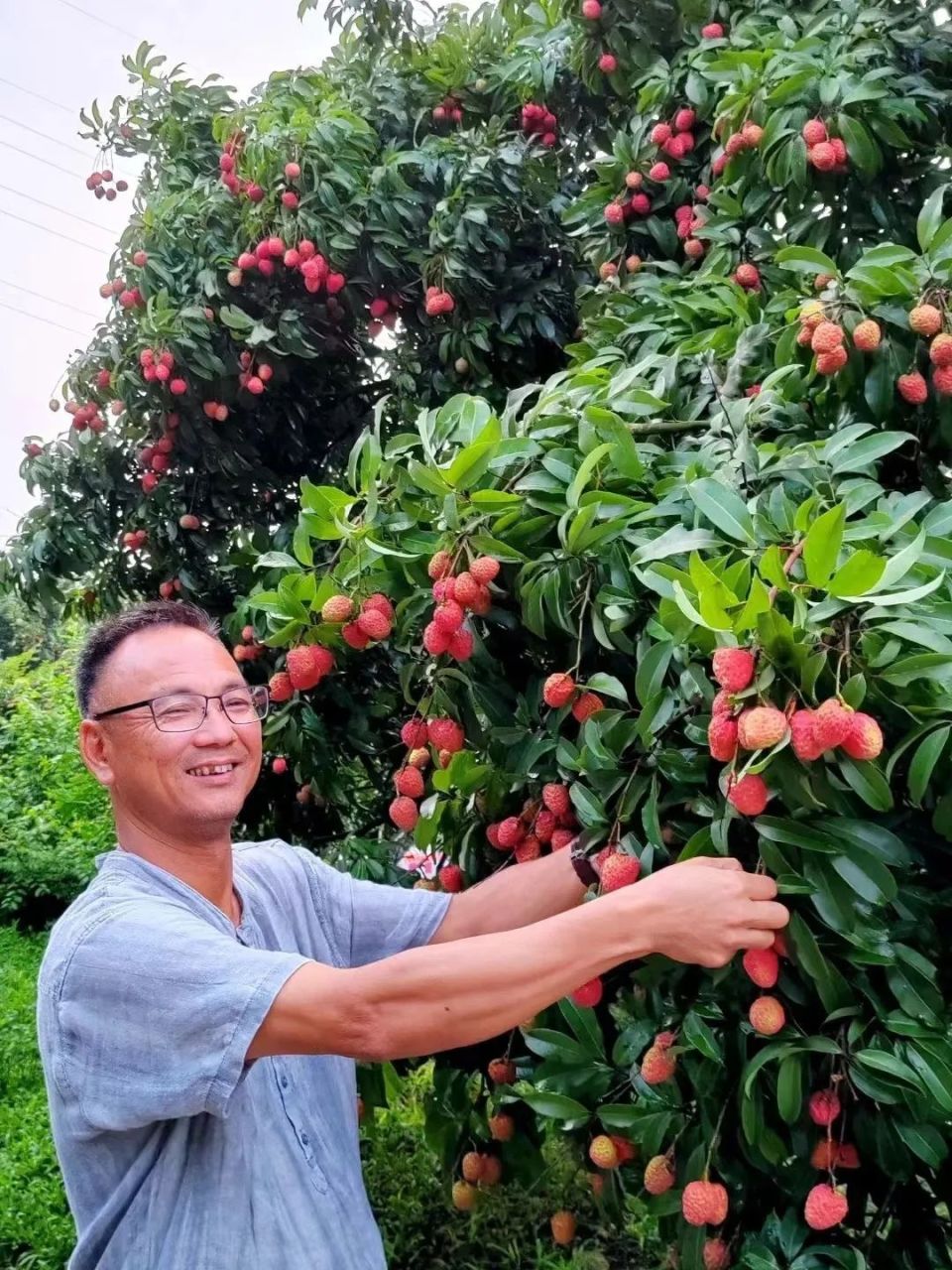 增城仙村事件图片