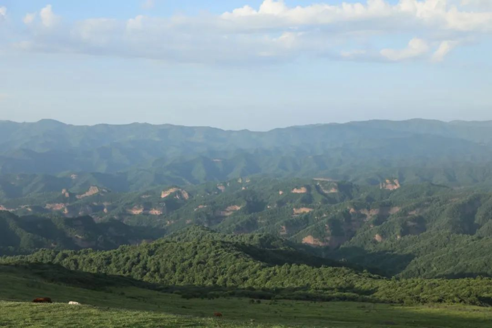 牛敬飞丨陇右与陇上：论汉魏南北朝西北战略中的陇山意象_腾讯新闻