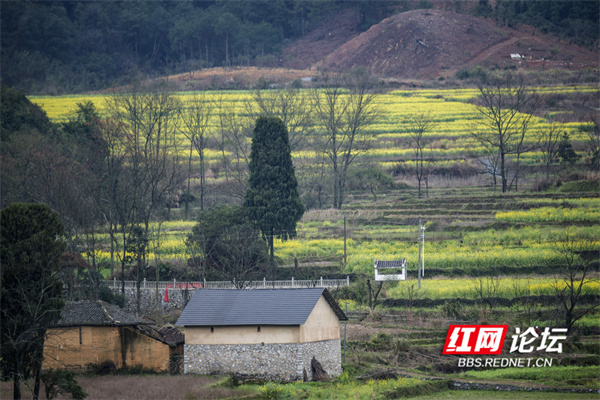 寻景记 | 道县"月岩":山外春光明媚,山内别有洞天_腾讯新闻