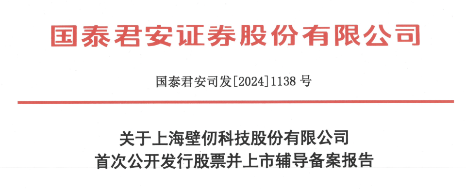 AI芯片独角兽壁仞科技启动IPO：估值155亿，创始人张文曾任商汤科技总裁_腾讯新闻