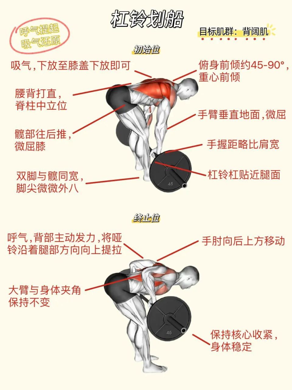 分享私教背部训练动作合集 ️背部线条感_腾讯新闻
